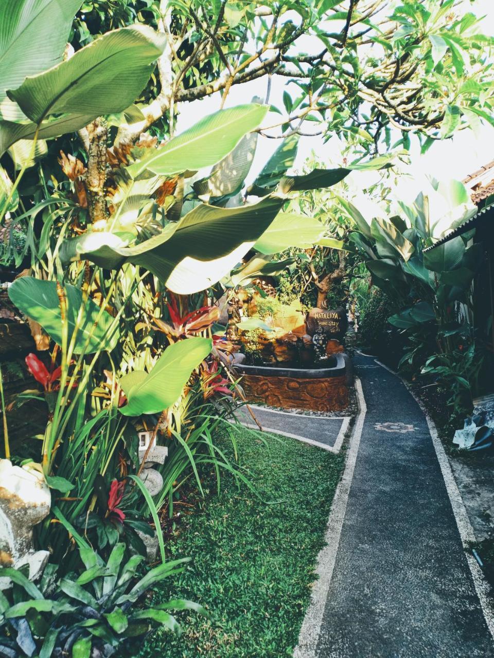 Nataliya Homestay Ubud  Bagian luar foto